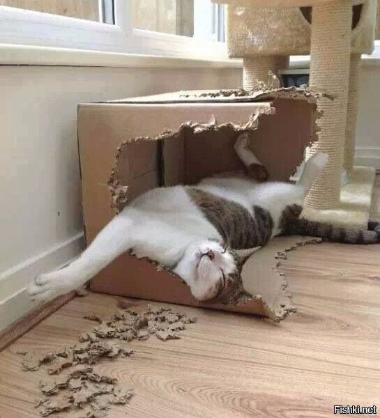 Ремонт, начало