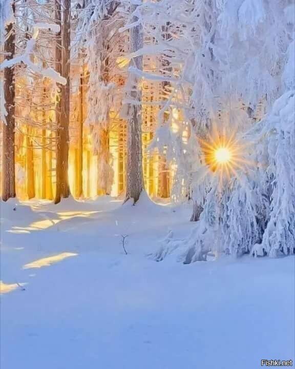 С добрым морозным утром