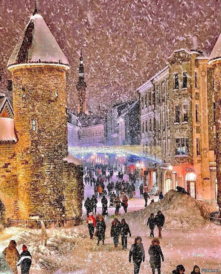 Зимний Таллинн