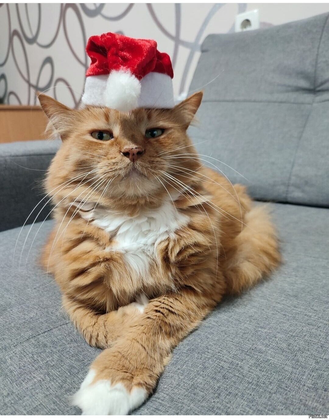 Доброе утро