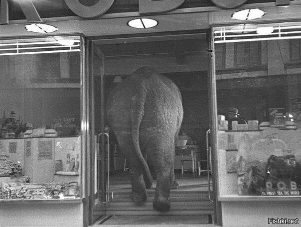 - Извините, это фарфор-хрусталь