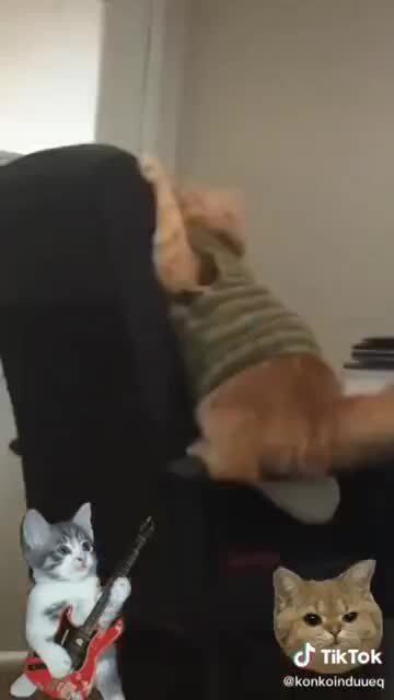 Оказывается в тыгыдыках рок-н-рол виноват