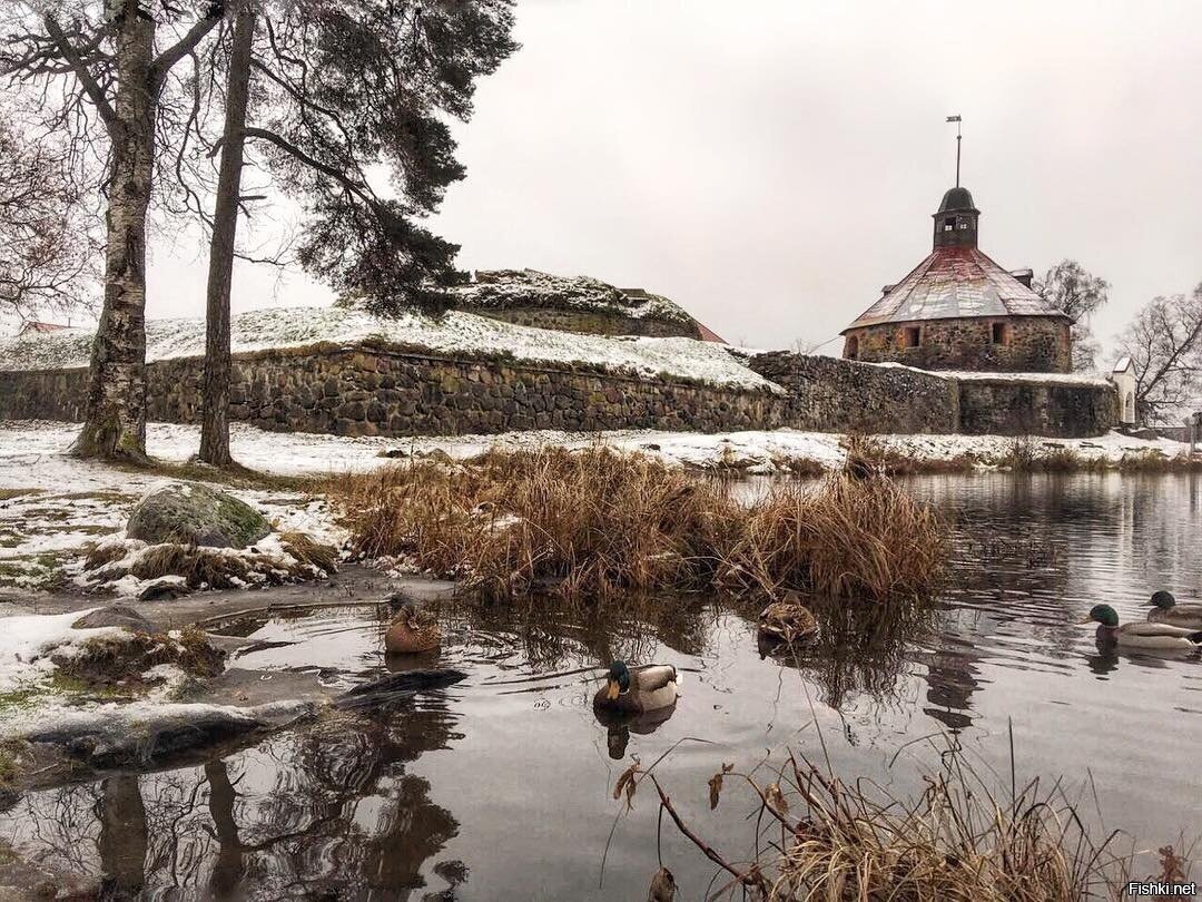 Старые крепости Ленинградской обл