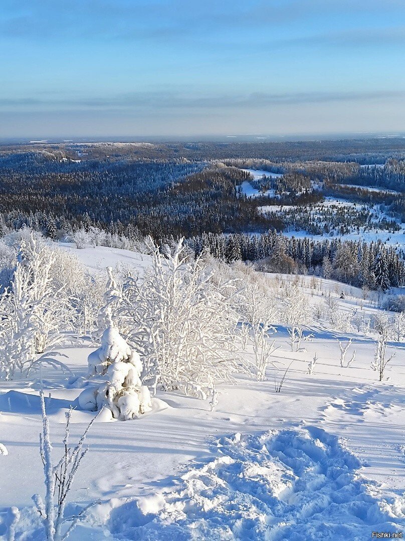 природа Урала