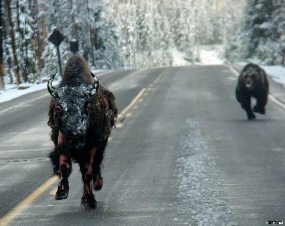 - подожди, мне только спросить