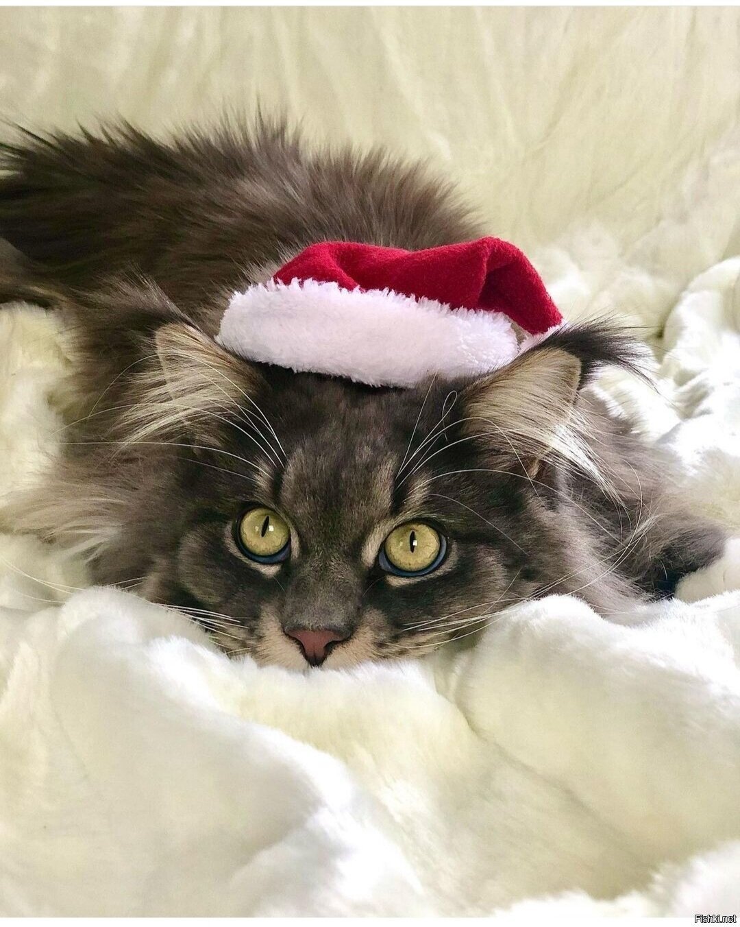 Доброе утро