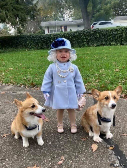 ГОДОВАЛАЯ ДЕВОЧКА ПЕРЕВОПЛОТИЛАСЬ В ЕЛИЗАВЕТУ II И ПОЛУЧИЛА ОТ НЕЕ ЛИЧНЫЙ ОТВЕТ