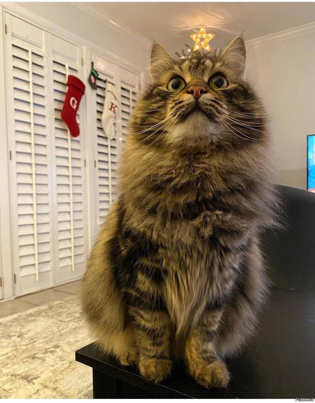 Доброе утро