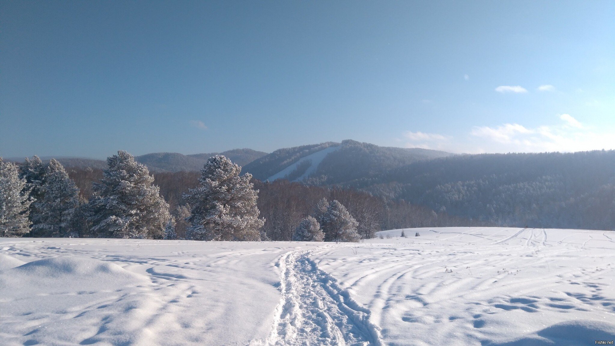 Район Белокуриха-2