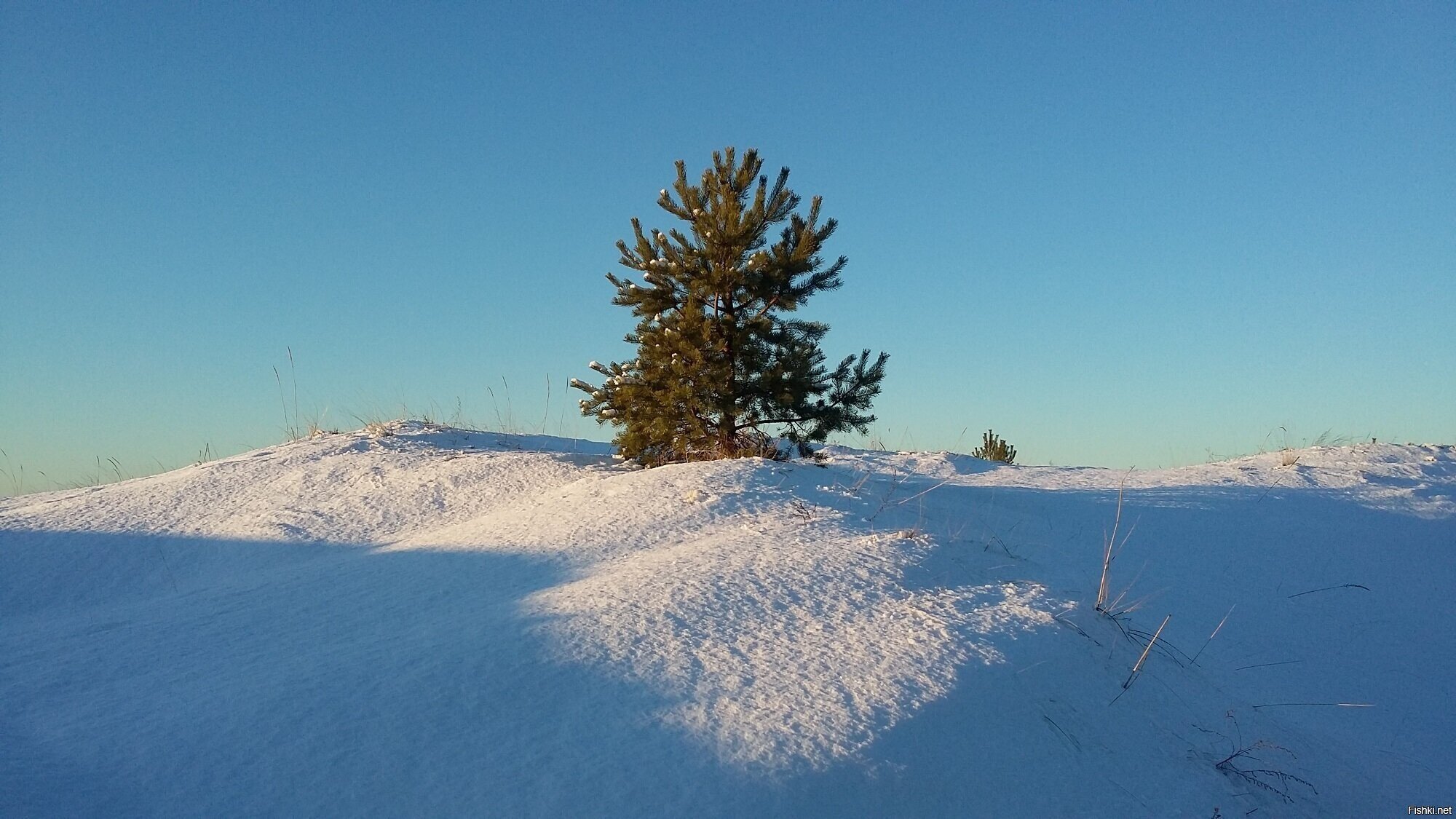 Одинокий герой