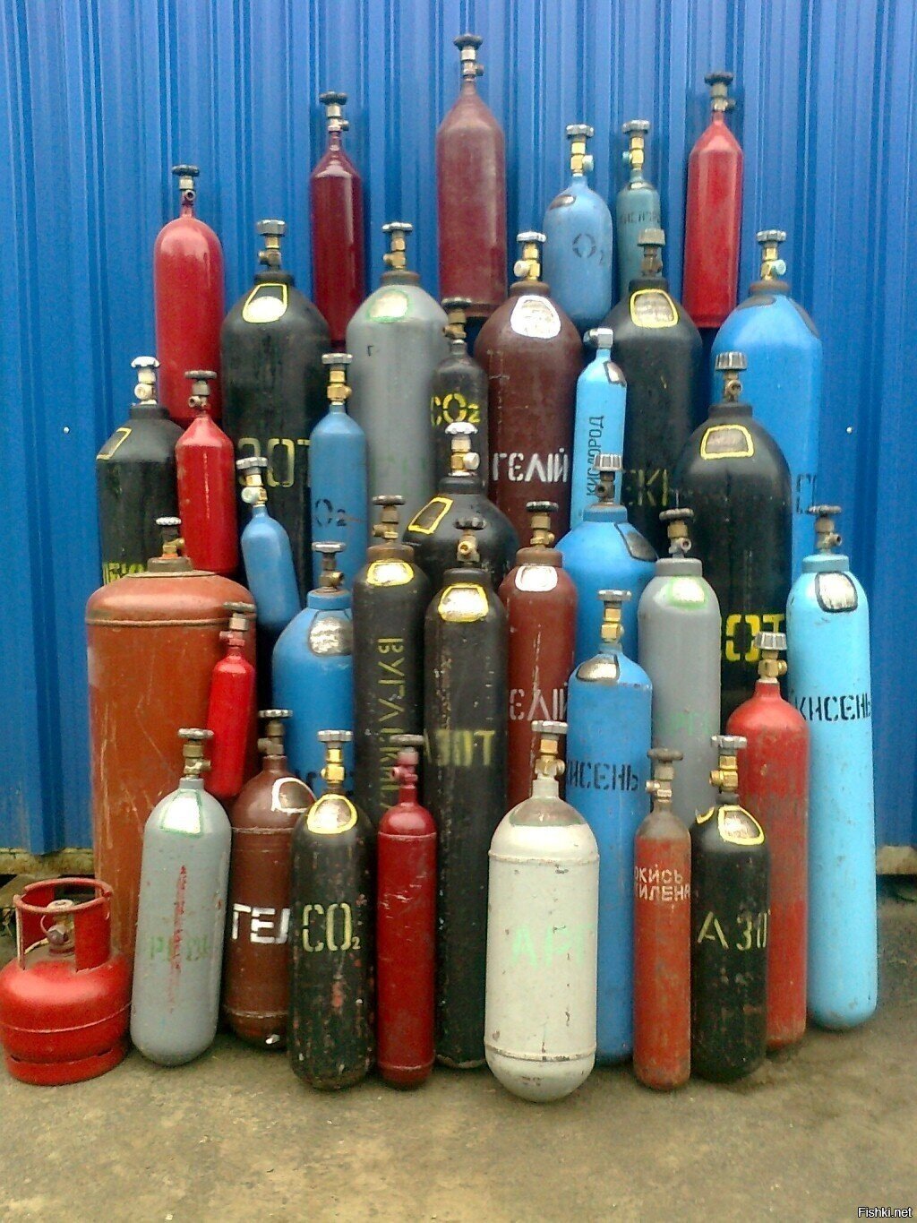 Сиськи, сиськи