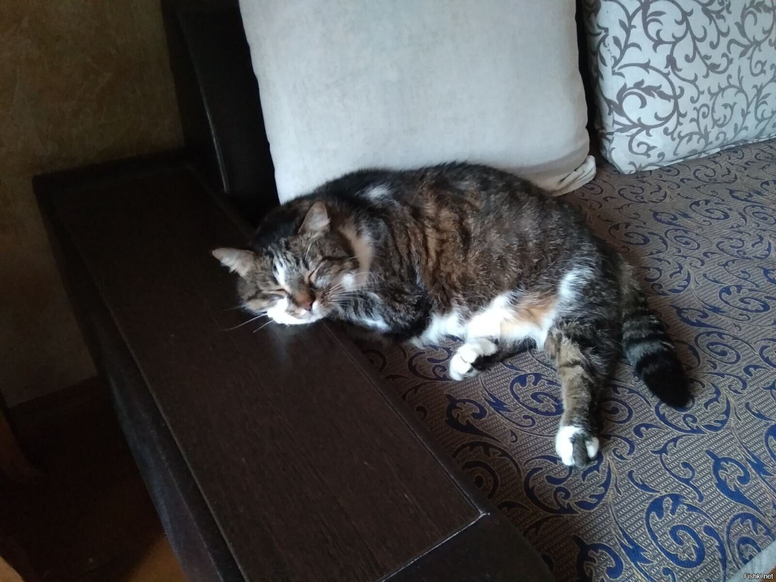 Так выглядят сны о колбасе