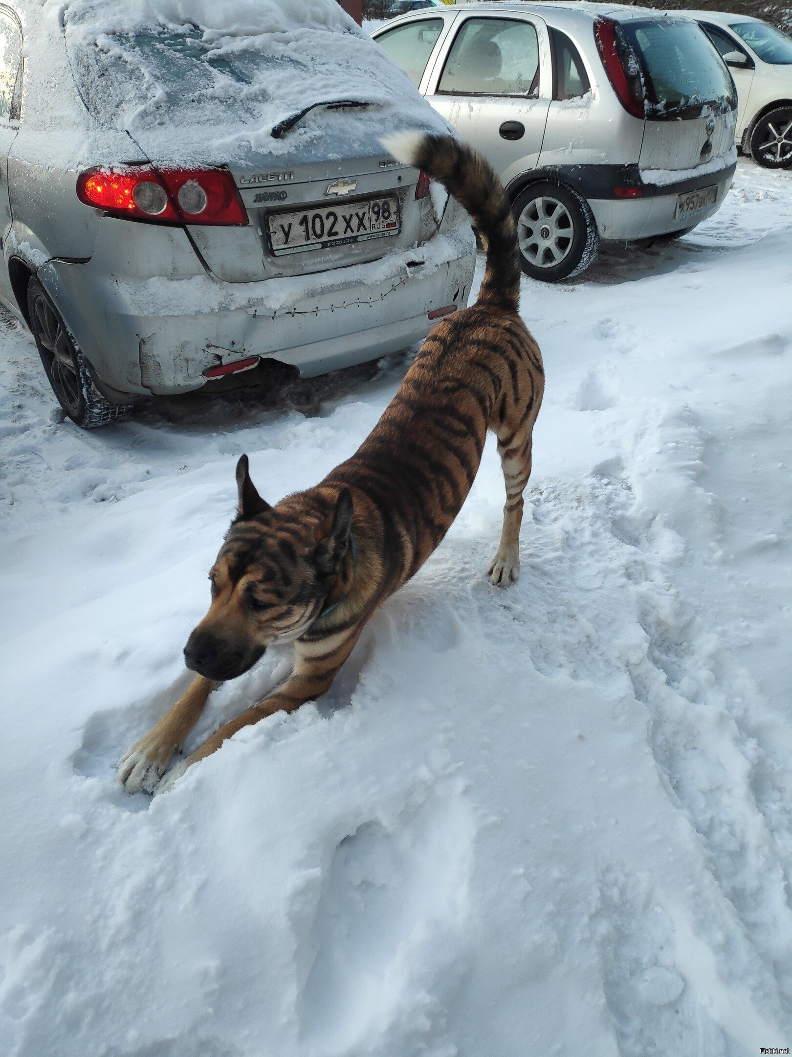 В дни депрессии Басё