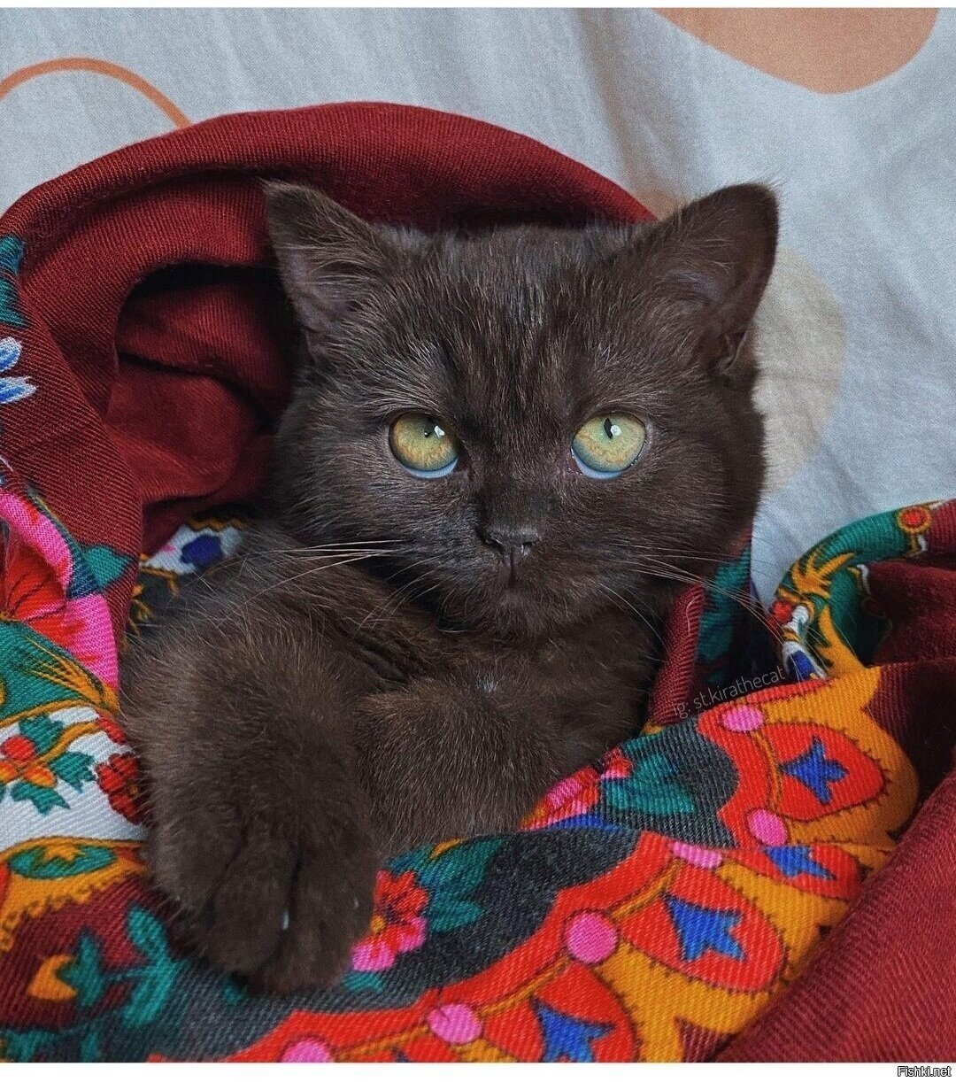 Доброе утро