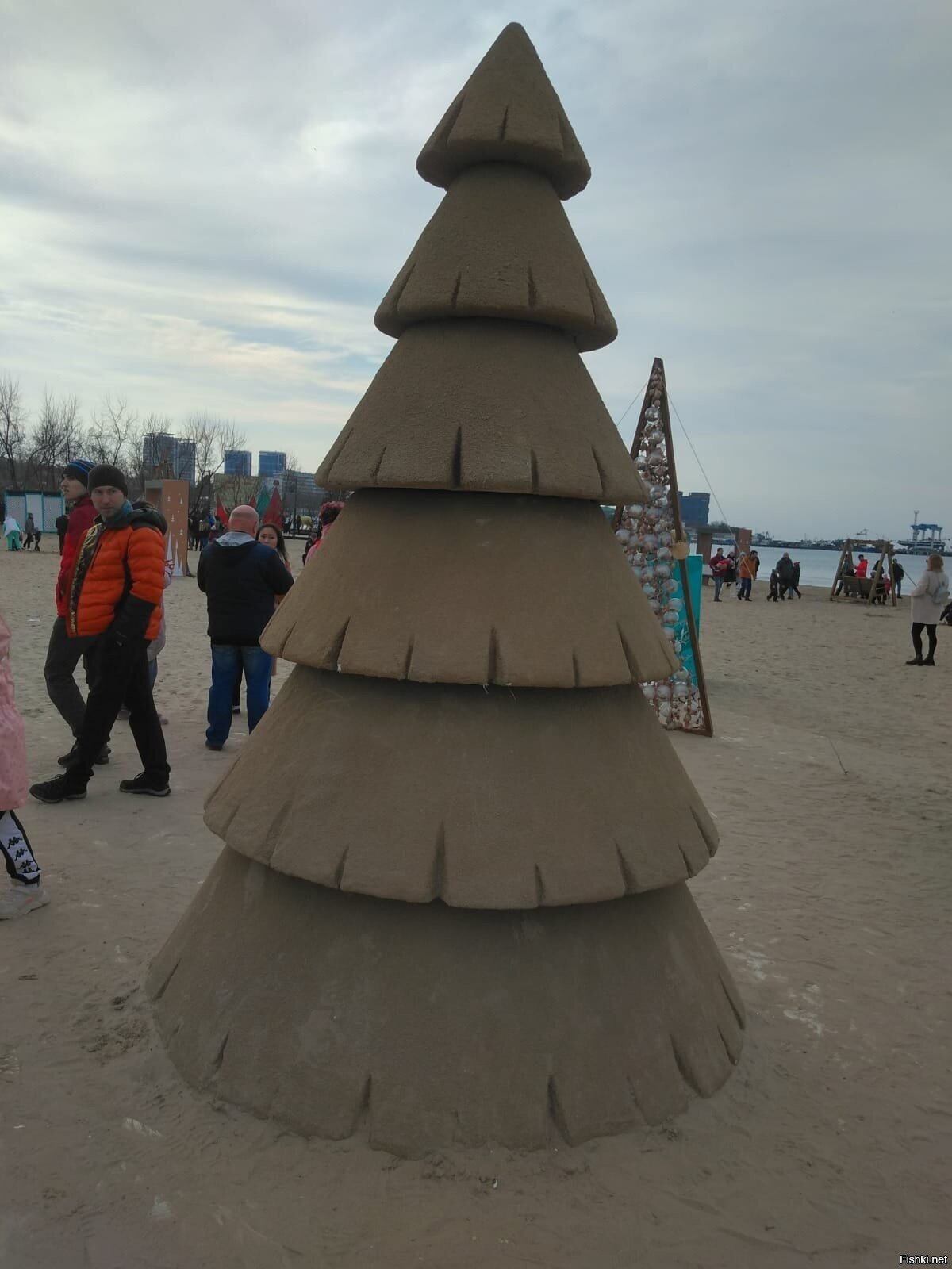 Ёлки в зимней Анапе