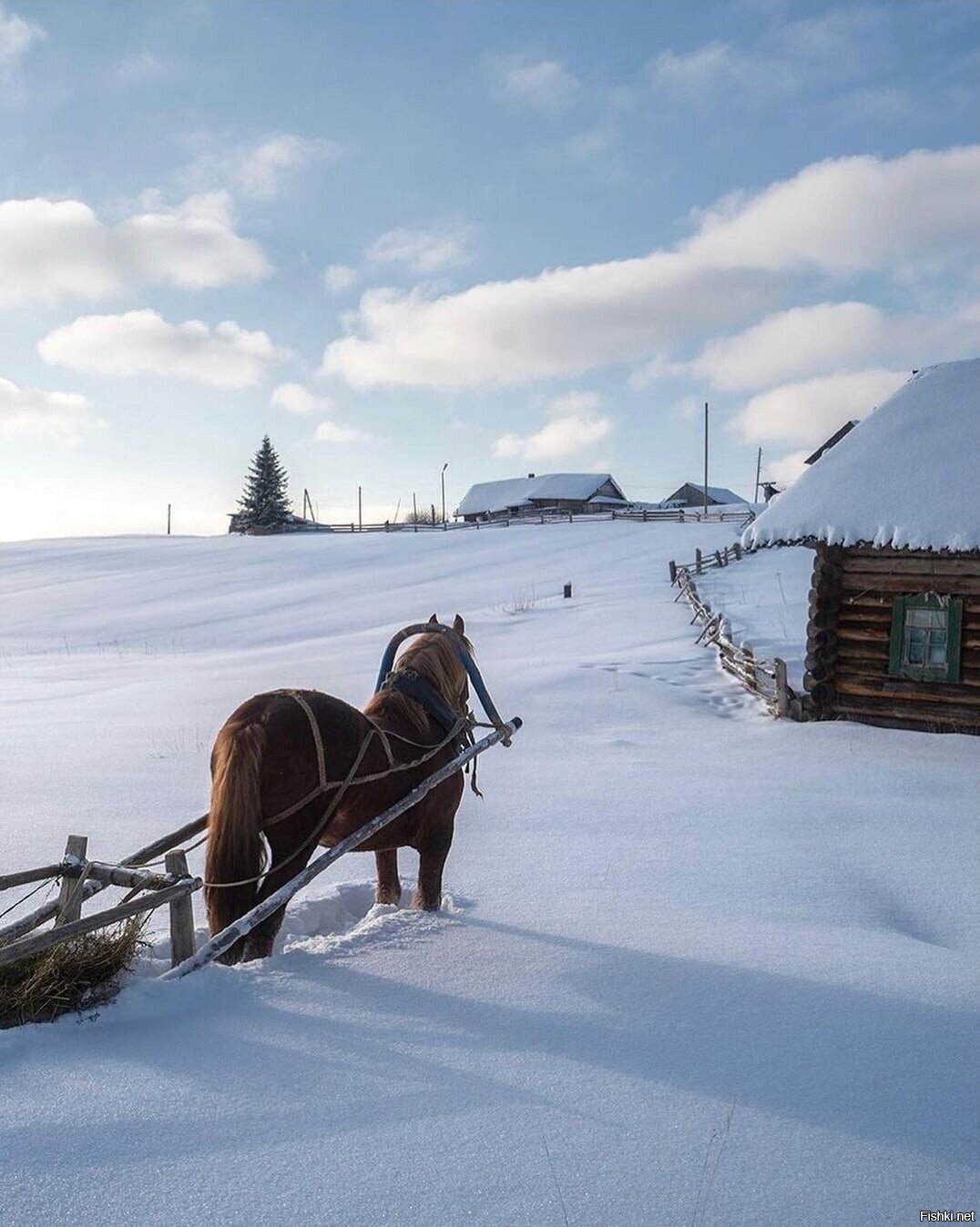 Однажды, в студеную зимнюю пору