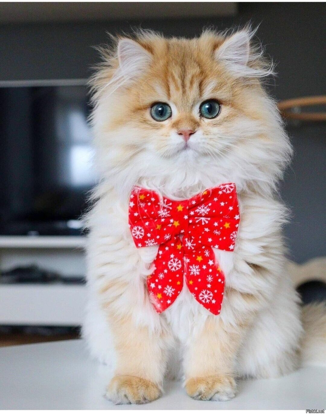 Доброе утро ) Удачной недели 