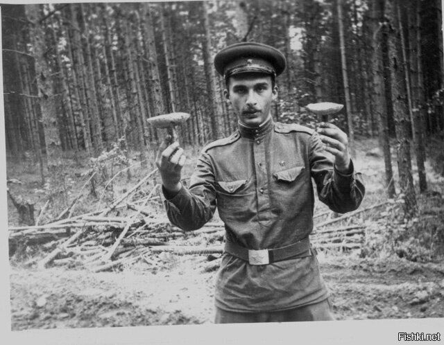 Фото, где Друзь собирает груздь, навевает грусть