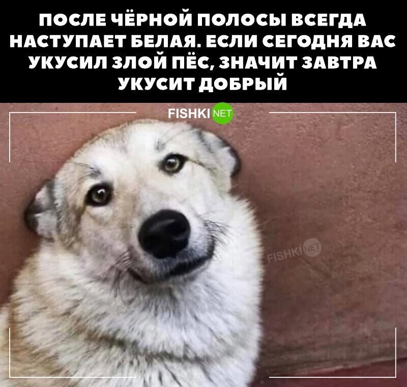 Справедливо