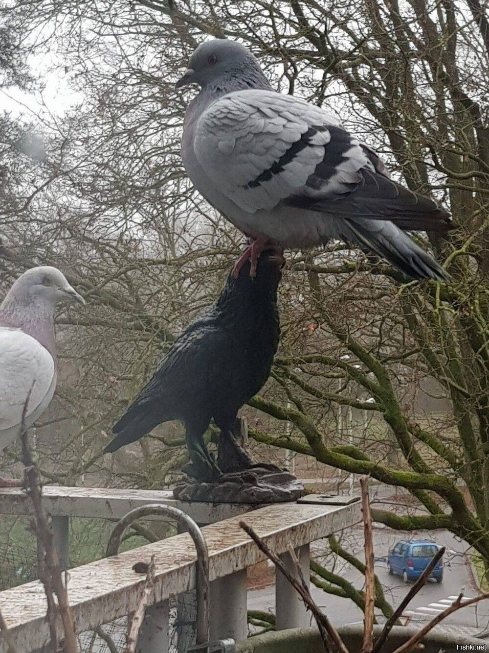 Властвуй и унижай