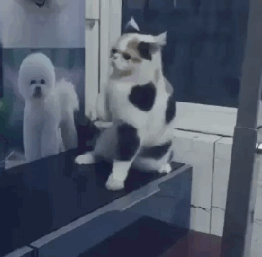 - Когда забойный музон