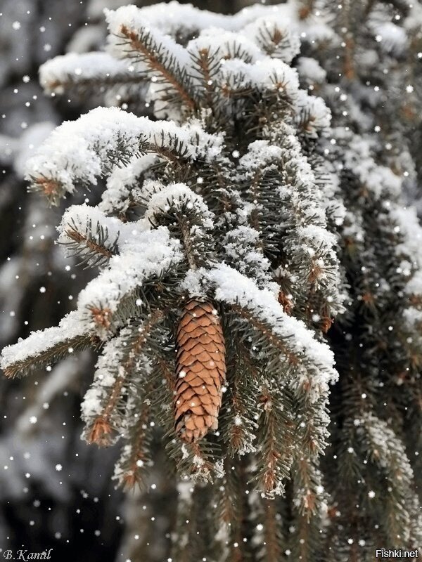 Доброе утро)