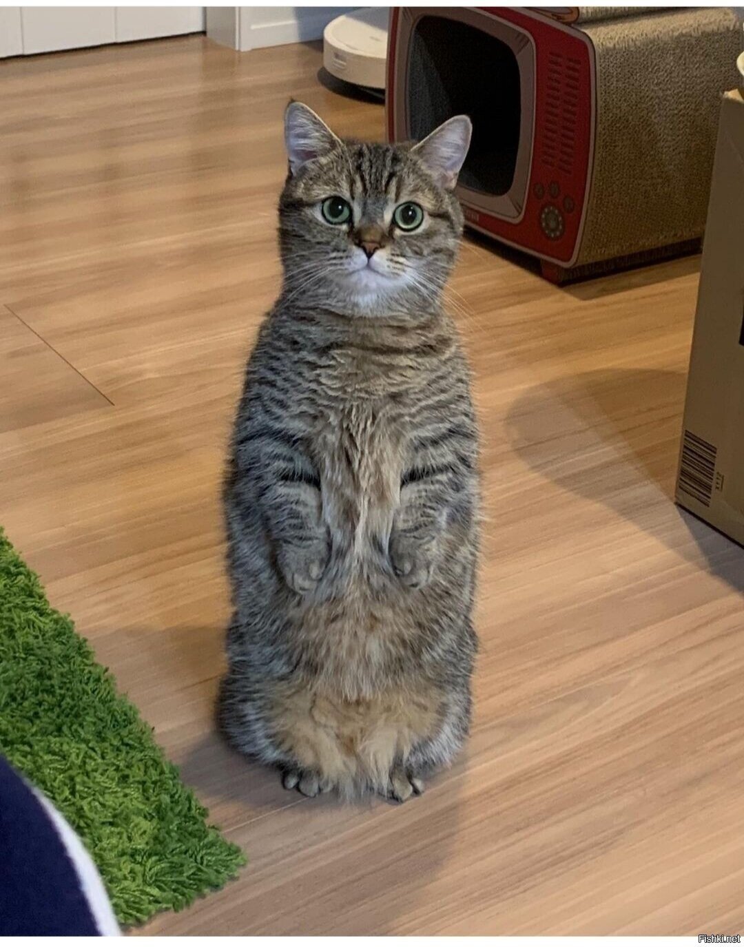 Доброе утро