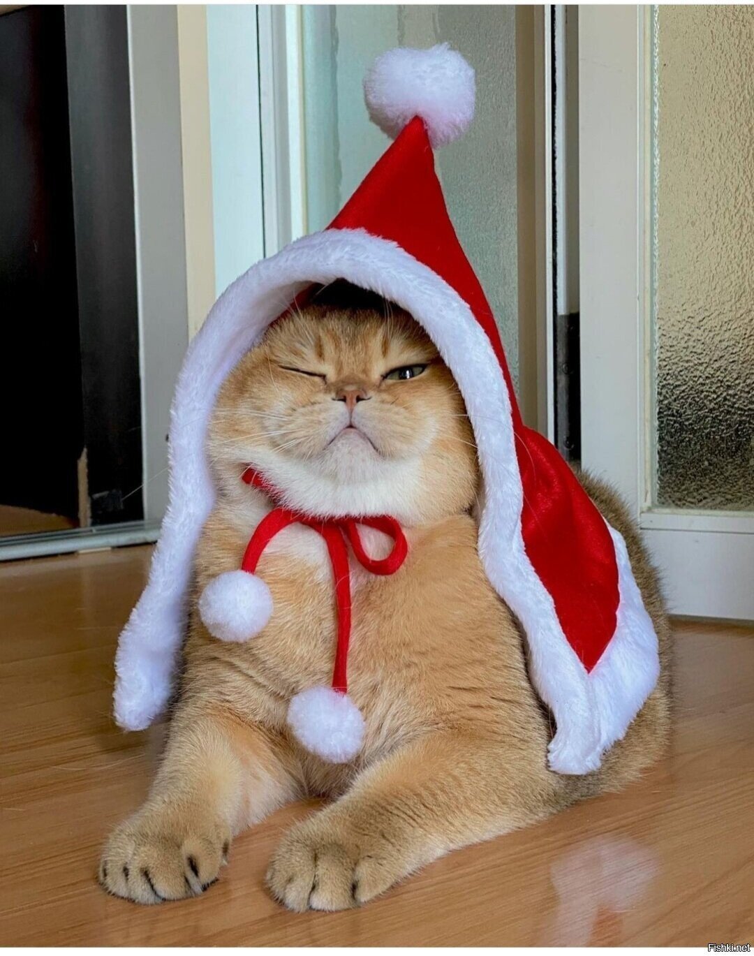 Доброе утро