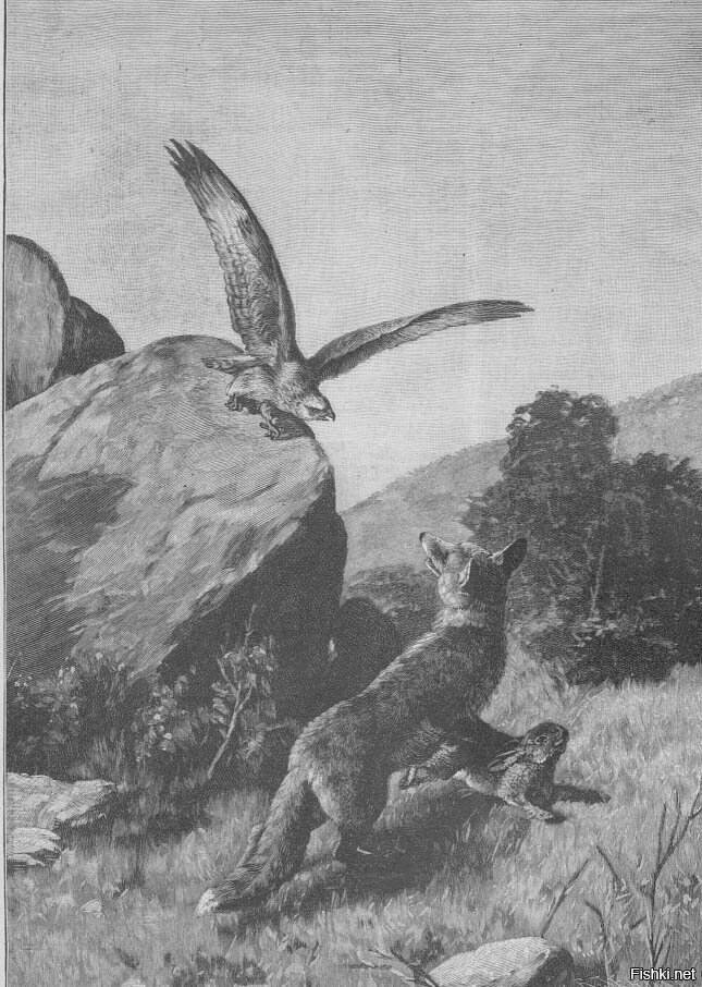 Интересно как Зануда выкрутился 