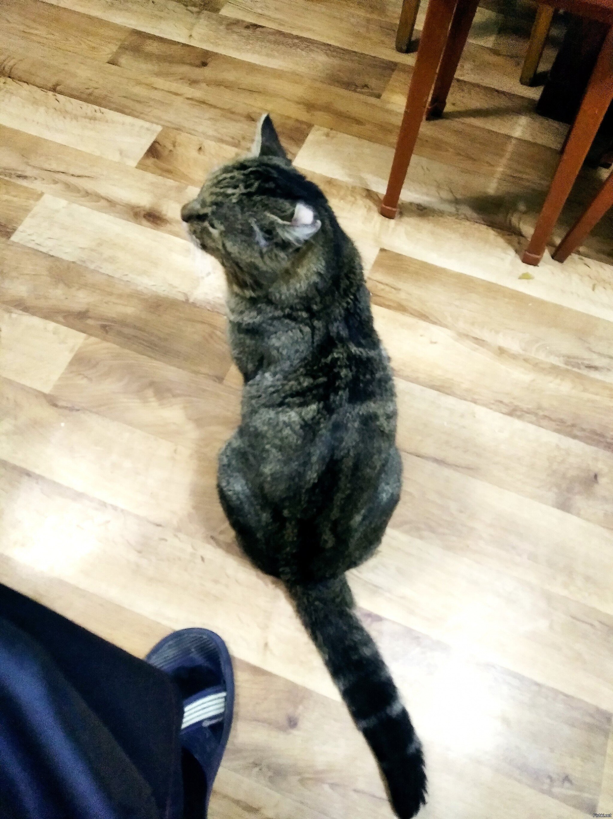 Пришел с работы, зашел к тетушке, разговариваем