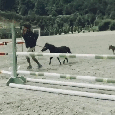 - Я тоже так умею