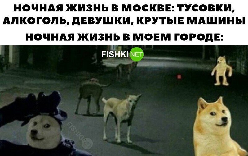 Выглядит безопасно 