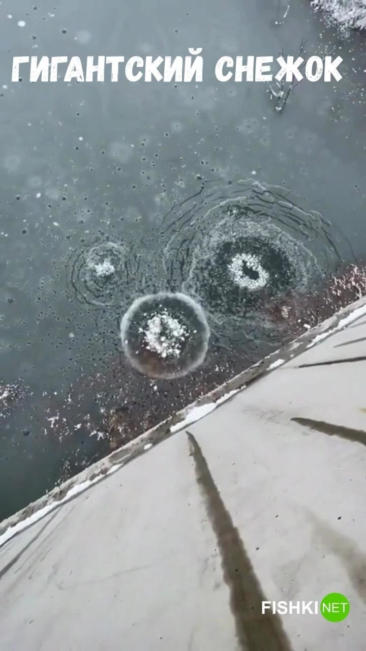 Парни сбросили гигантский снежок в водоем