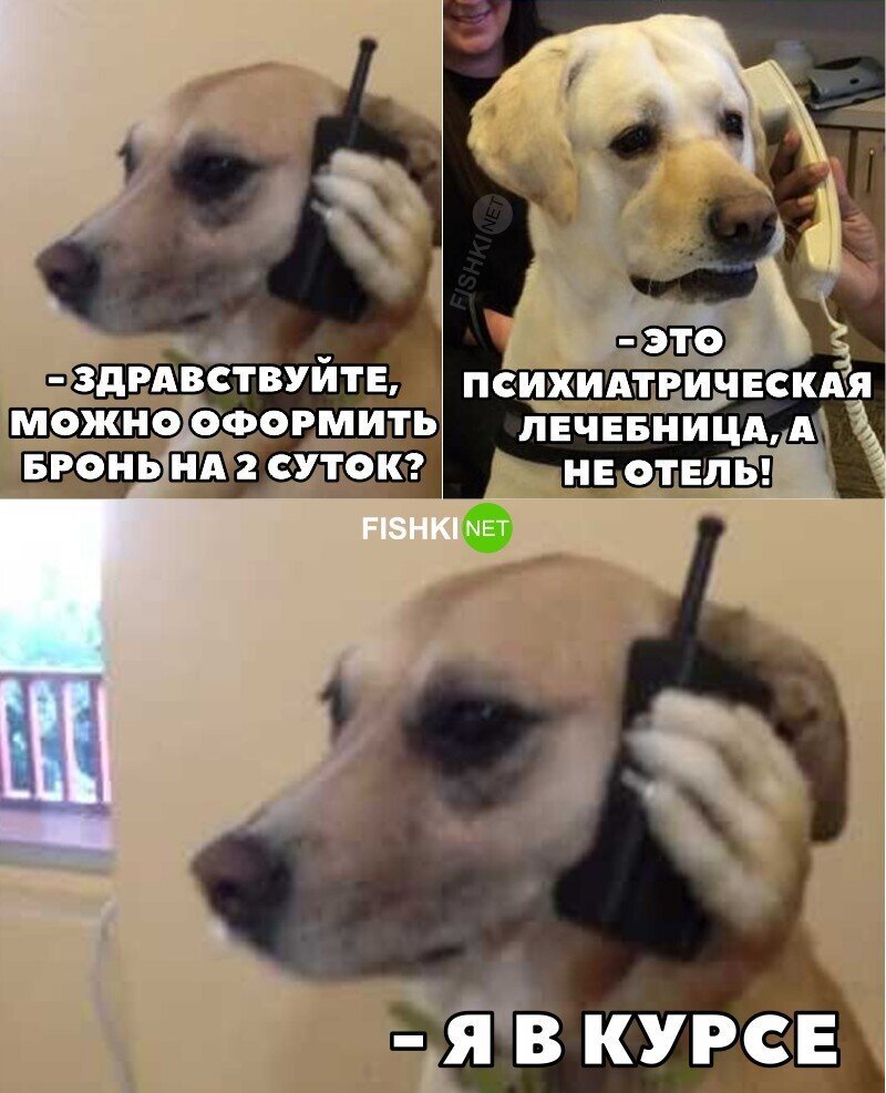 Когда выбираешь куда поехать летом