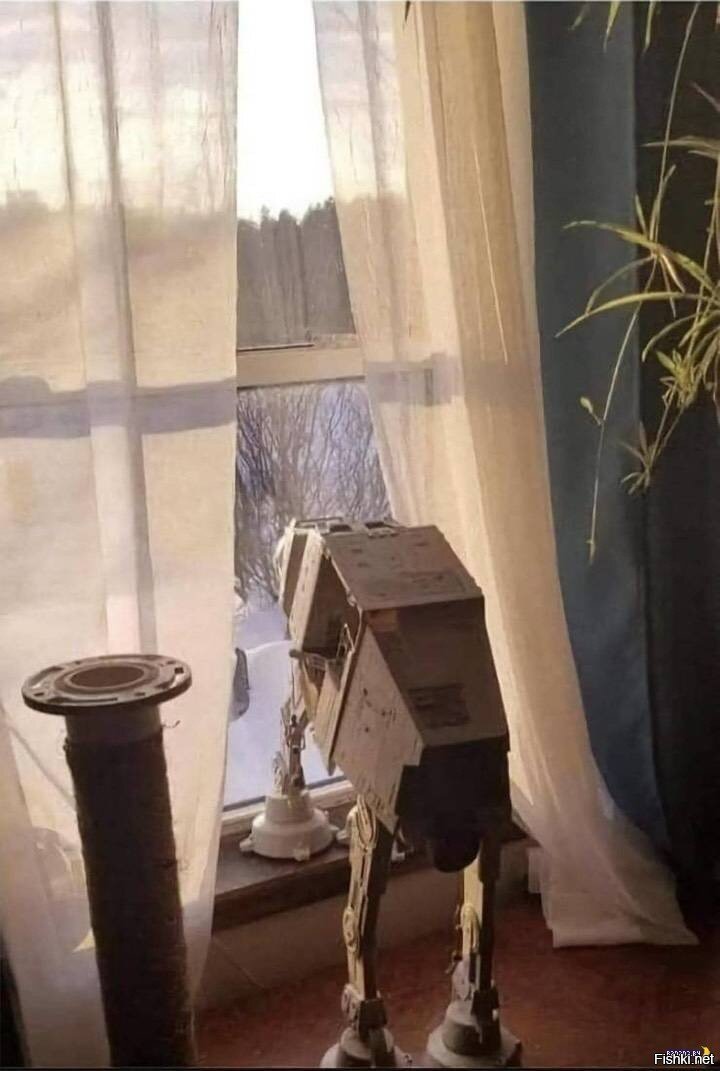Мы вольные птицы; пора, брат, пора