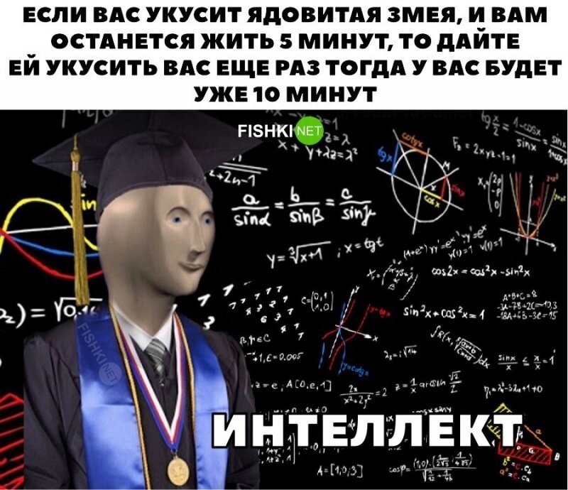 Интеллектуал 