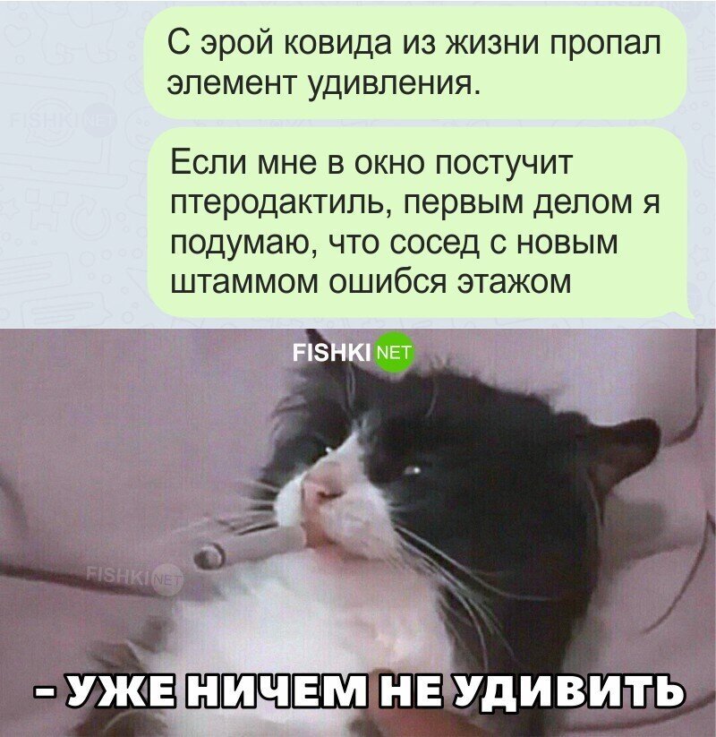 Ничем не удивить