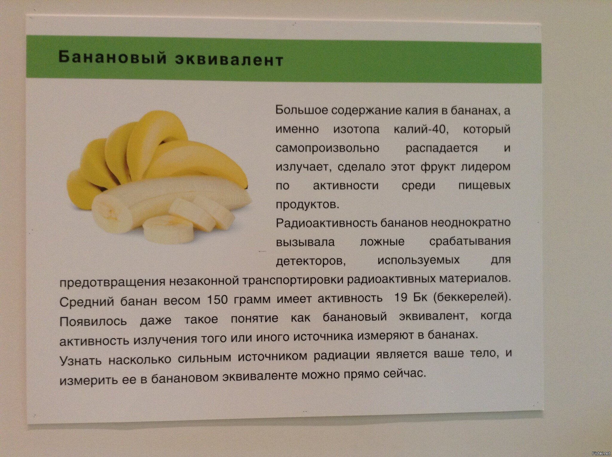 10 бананов съеденных за день обеспечат Вам дозу радиации рентгенкабинета