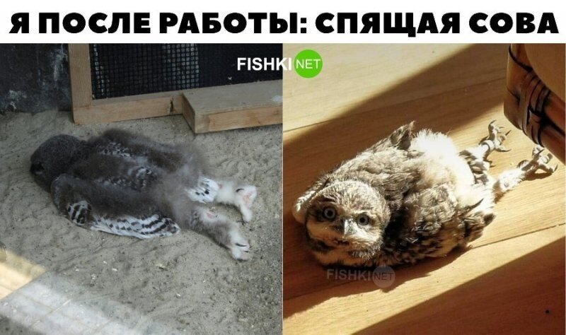 Очень жизненно! 
