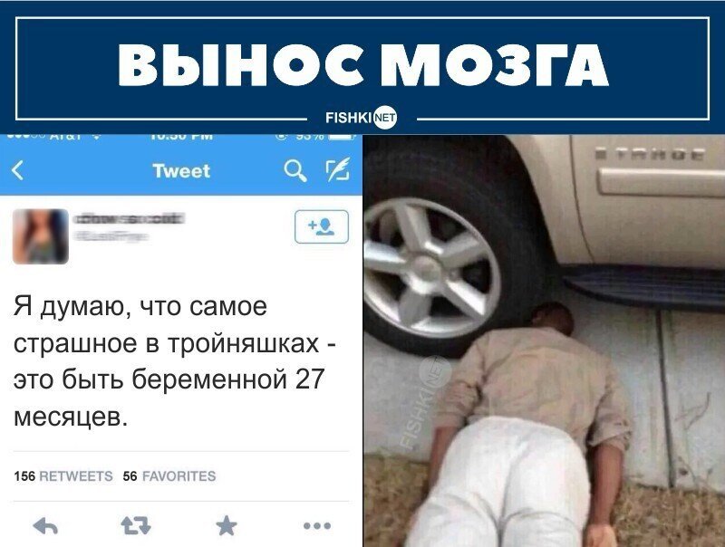 Смешные и познавательные картинки