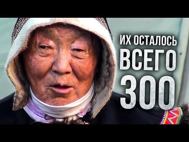 Самый малочисленный коренной народ Севера, Энцы. Как они живут сегодня | Факты