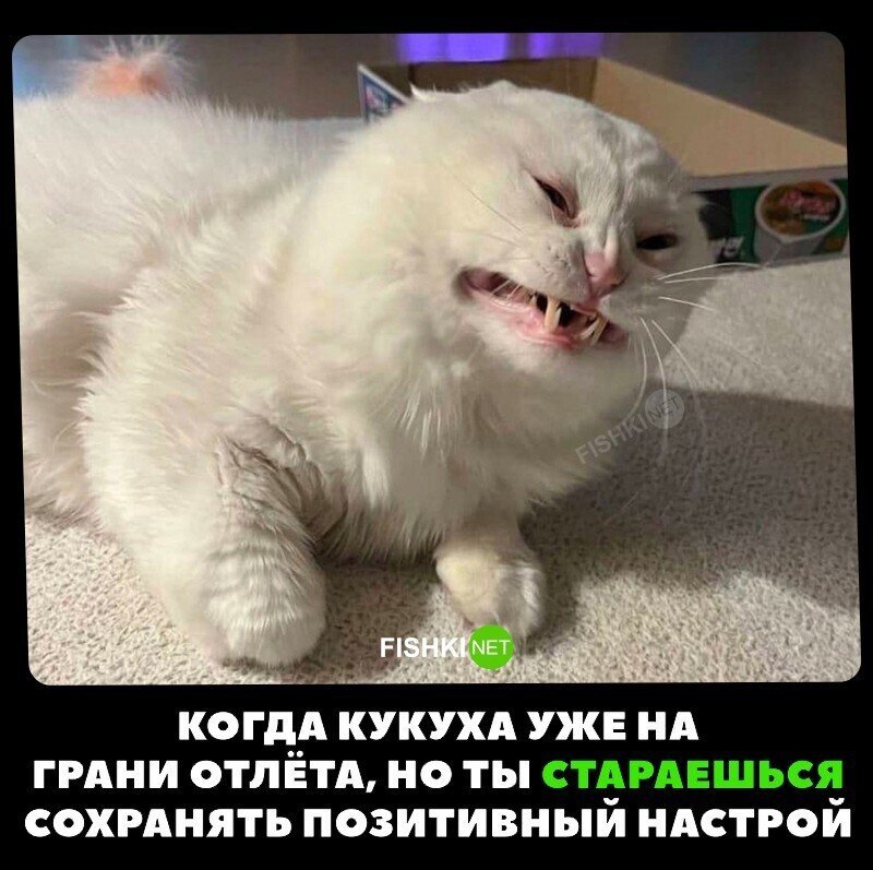 Скрины из соцсетей