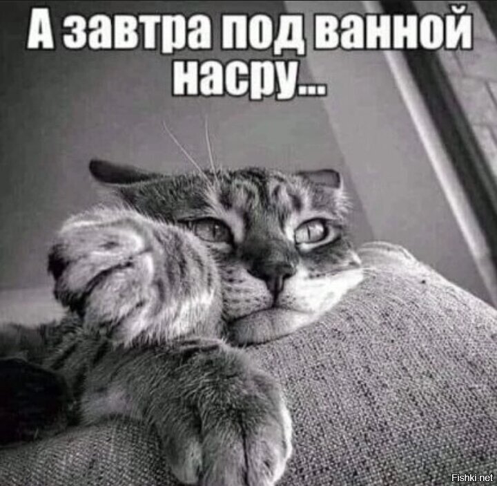 Цель без плана - просто мечта