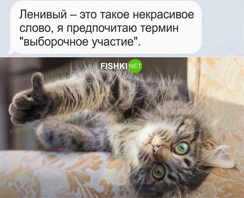 Хорошо сказал!
