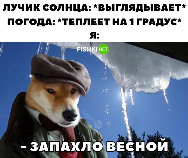 Запахло весной 