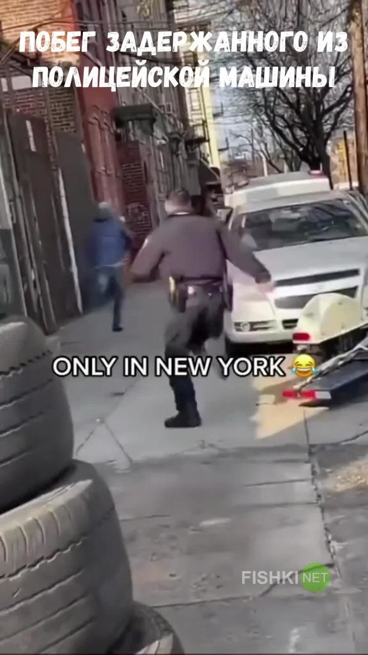  Побег задержанного из полицейской машины