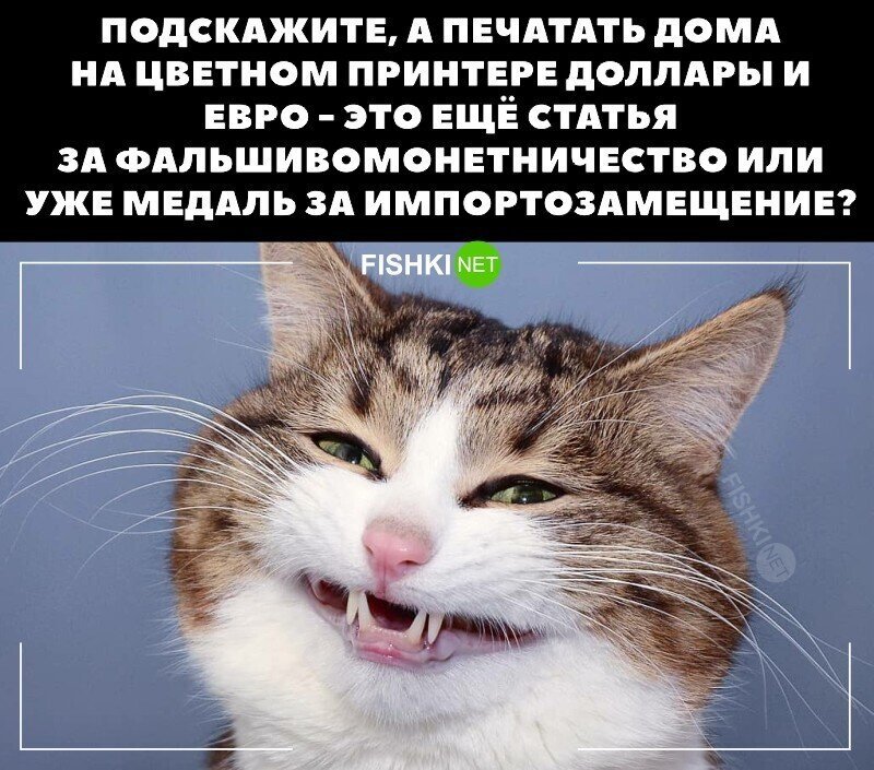 Хорошая мысль