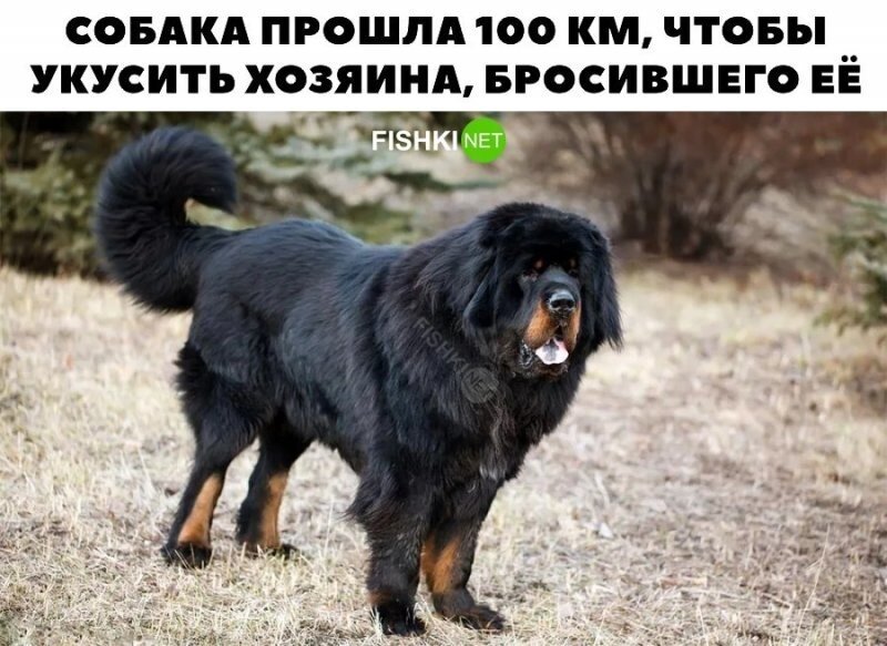 Идеальная месть!