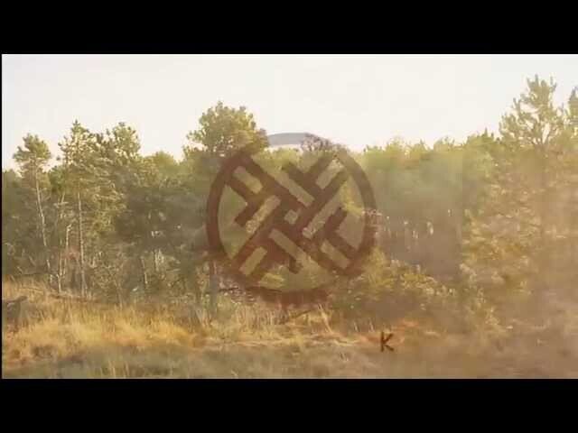 обожая дарк фолк