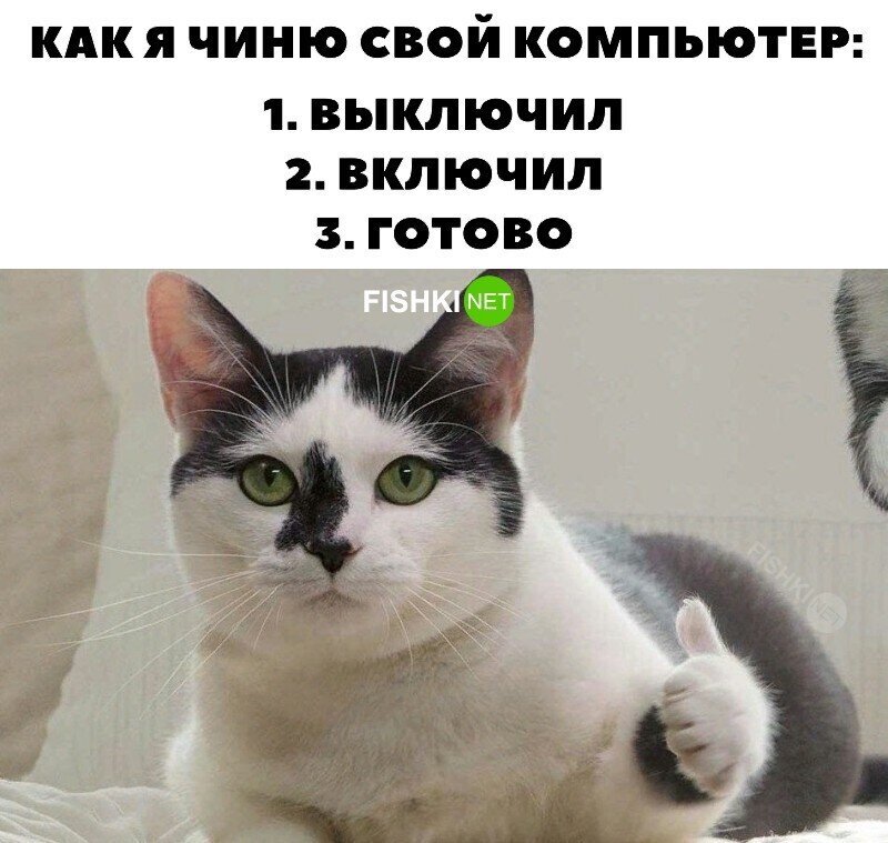 Скрины из соцсетей